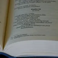 Tests of Italian for beginners