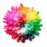 Tests of Italian for beginners