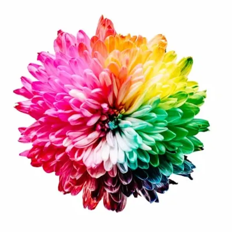 Test after Lesson 7: colors