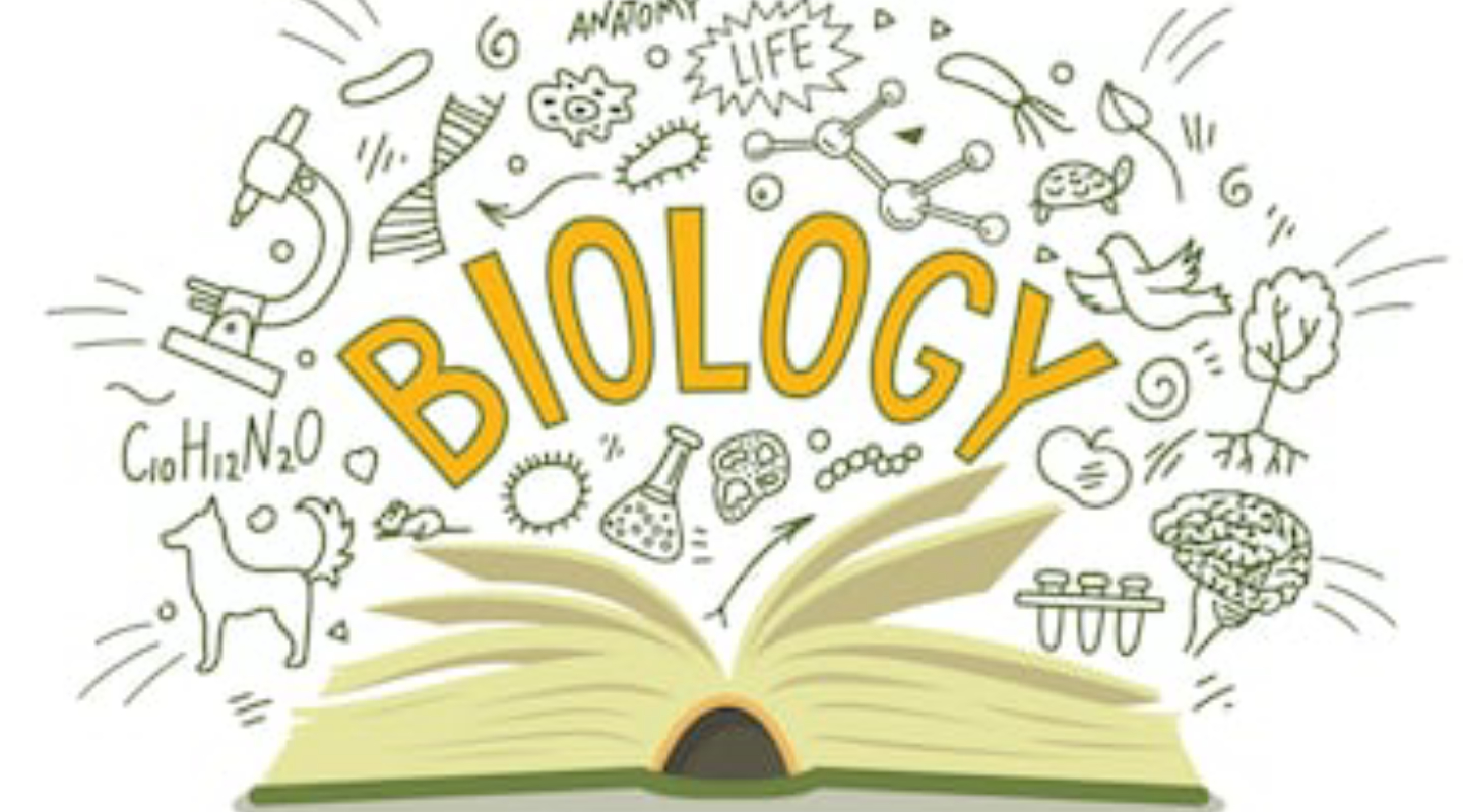 Biology, Physiology And Morphology (10 Class) | OnClass