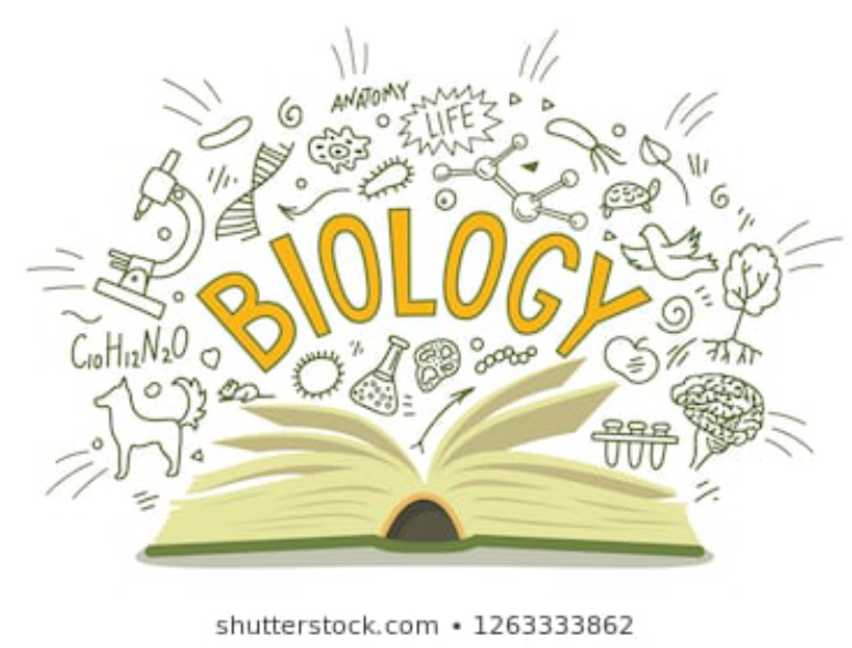 Physiology and morphology