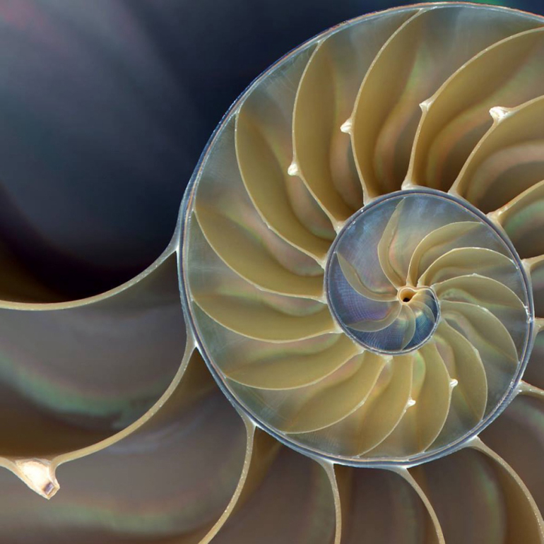 Facts about phi, the golden ratio.