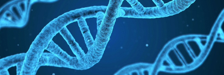 Biology Practice Test #1