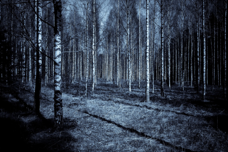 Paranormal