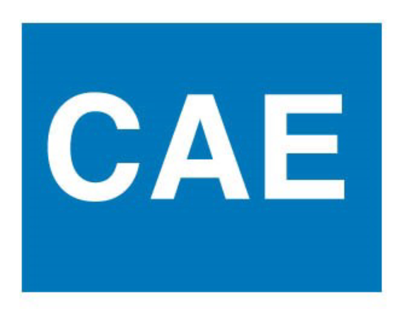 CAE exam